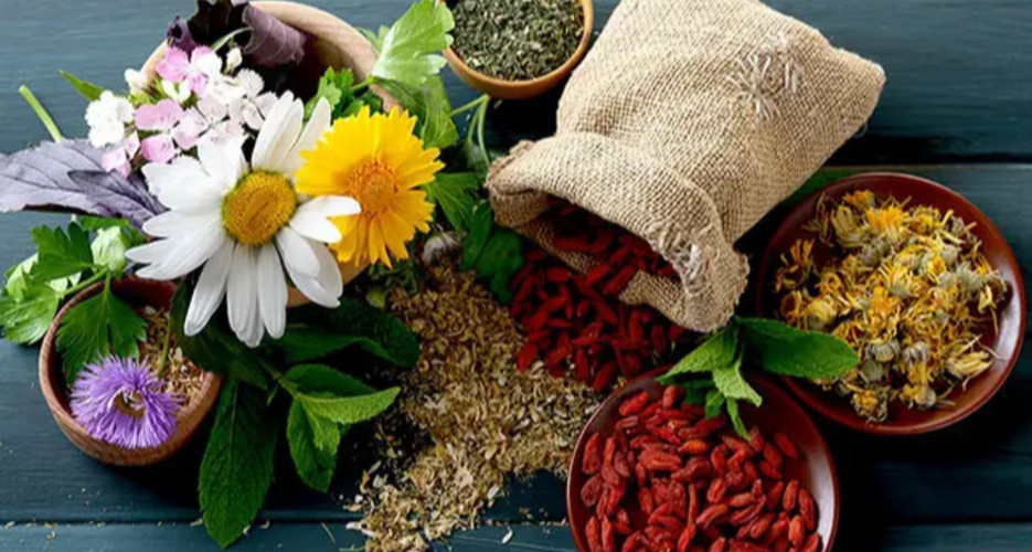 متخصص طب ایرانی